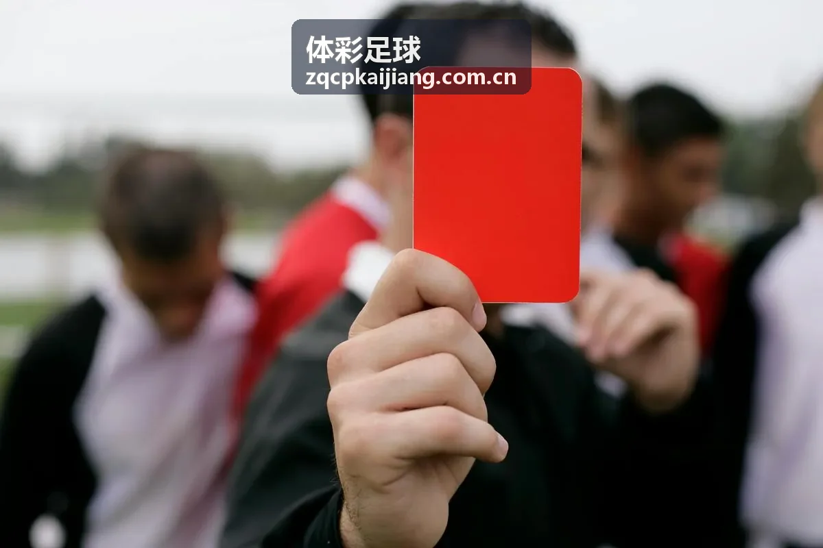 体彩足球用户调研报告